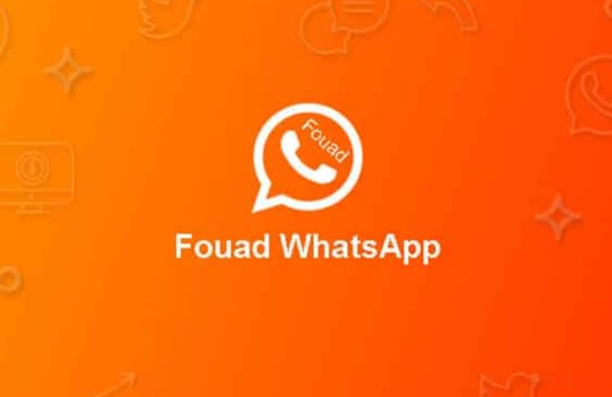 Fouad Whatsapp 8.26 Apk Download