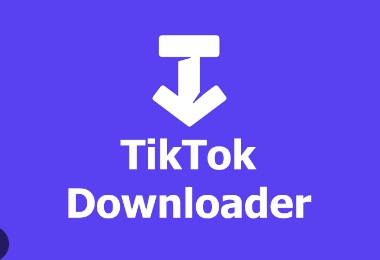 TikTokSSS Unduh Sound dan Video MP4 HD TikTok